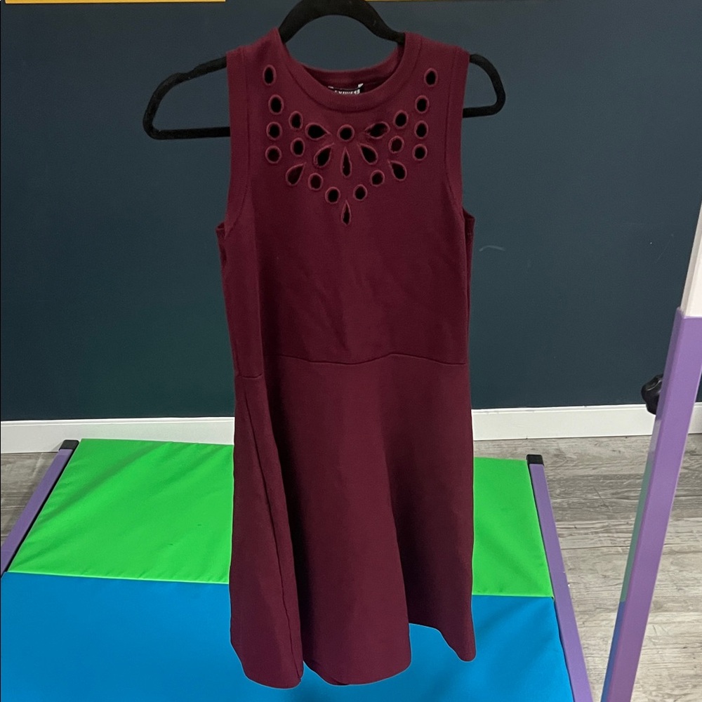 Express Burgundy Knit Sweater